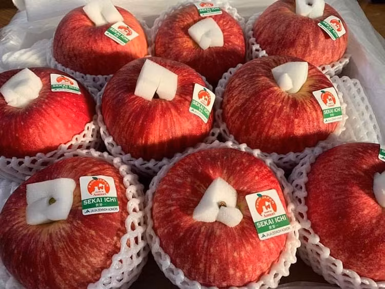 3 loai tao dat nhu “kim cuong”, co tien chua chac mua duoc