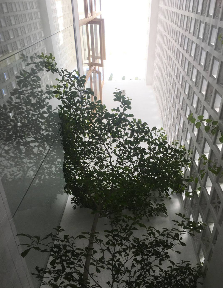 Nha pho 38m2 trong hem nho van ngap nang gio giua Sai Gon-Hinh-3