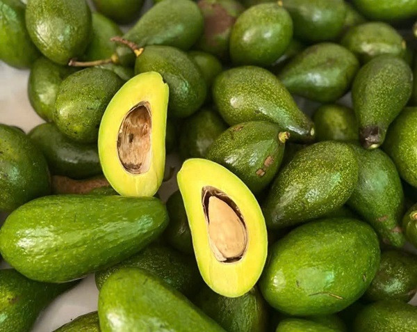 Bo dau mua tang gia gap doi