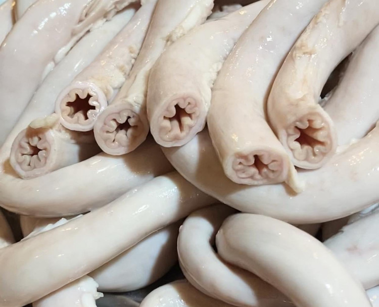 Su that long se dieu gia re “do bo” cho mang