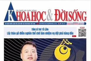 KHOA HỌC VÀ ĐỜI SỐNG SỐ 40-41-42 - 16/10/2025