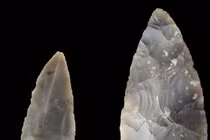 Người Neanderthal và sự tinh tế trong chế tác công cụ pha lê đá
