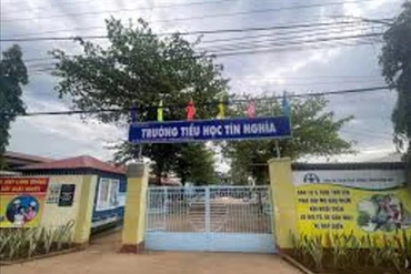 Gói thầu 51 tỷ đồng tại Trường tiểu học Tín Nghĩa: Duy nhất Sơn Song Bảo dự