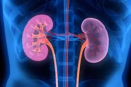 Nắng nóng, 6 việc người Việt nên làm để phòng ngừa nguy cơ suy thận 