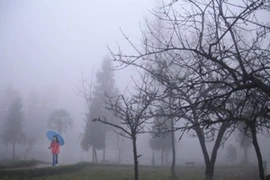 Dự báo thời tiết 27/1/2026: Miền Bắc mưa phùn, Nam Bộ nắng ấm