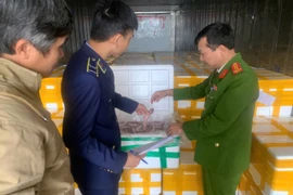 Thanh Hóa phát hiện hơn 10 tấn cá khoai chứa chất cấm formaldehyde 