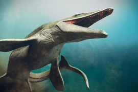 Loài thủy quái khổng lồ mới được phát hiện ở Morocco