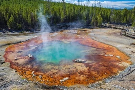 Mạch phun nước nóng hiếm gặp tại Mỹ hoạt động trở lại