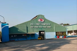 Vụ 120 tấn lợn bệnh, Công ty Cổ phần Đồ hộp Hạ Long nói gì?