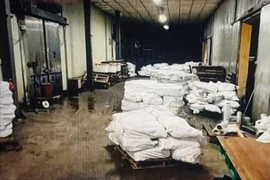 Niêm phong 4 kho hàng, khoảng 130 tấn thịt đông lạnh của Đồ hộp Hạ Long