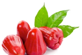 Lợi ích tuyệt vời của quả roi đối với sức khỏe