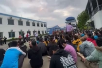 Hàng trăm công nhân Phú Thọ ngừng việc phản đối quản lý