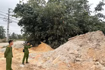 Phú Thọ khởi tố đối tượng đổ thải trái phép ra môi trường