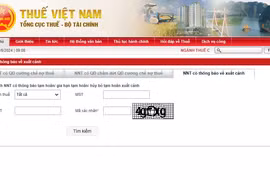 Nợ thuế bị tạm hoãn xuất cảnh: Cách tra cứu ngay
