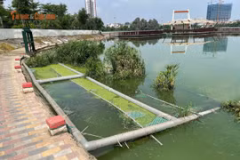Hồ điều hòa phủ rong tảo, nhiều hạng mục xuống cấp tại Công viên Ngọc Thụy