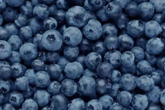 3 loại trái cây giàu dưỡng chất tốt cho gan