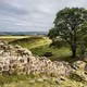Hadrian's Wall: Công trình phòng thủ huyền thoại của Đế chế La Mã