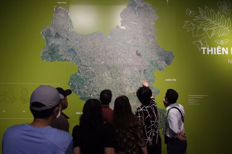 4-4486.jpg