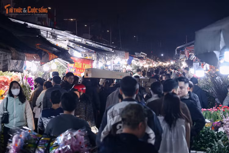 kto-tl_e1.jpg