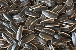 Tăng cường sức khỏe ngày Tết với các loại hạt dinh dưỡng