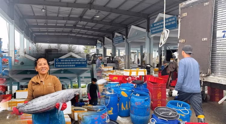 Ngành Nông nghiệp trong tháng đầu năm 2026 có nhiều khởi sắc hơn so cùng kì năm trước.