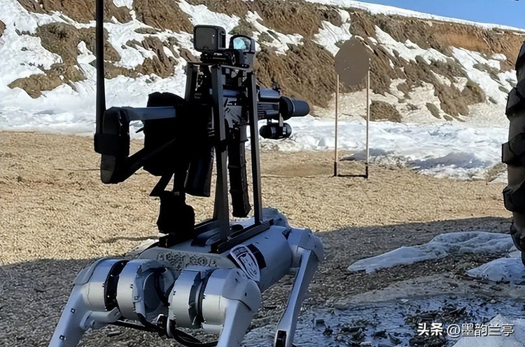 Chó robot mang vũ khí làm nhiệm vụ tuần tra cùng binh sĩ và robot canh phòng. Ảnh: Toutiao.