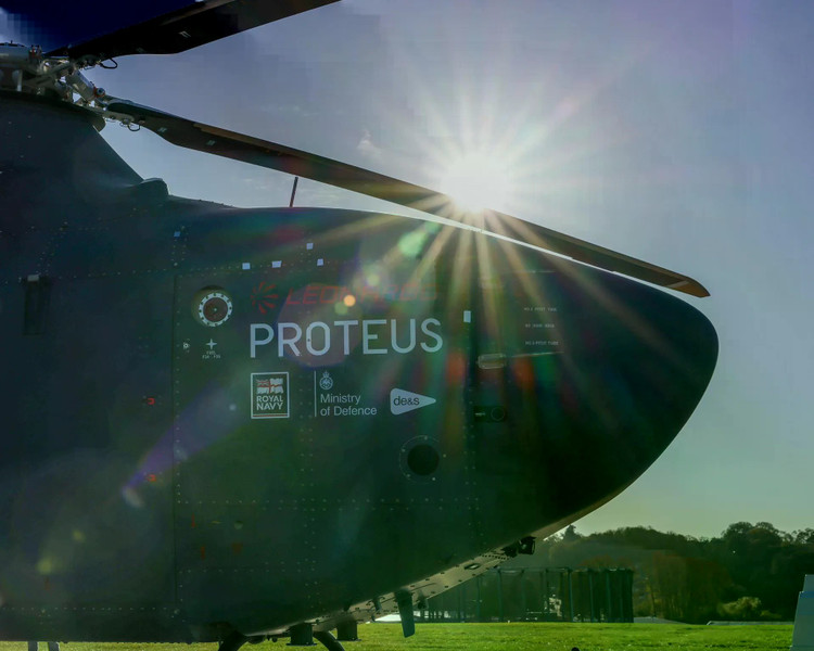 image-8-proteus-basks-in-the-autumn-sun-before-its-ground-running.jpg