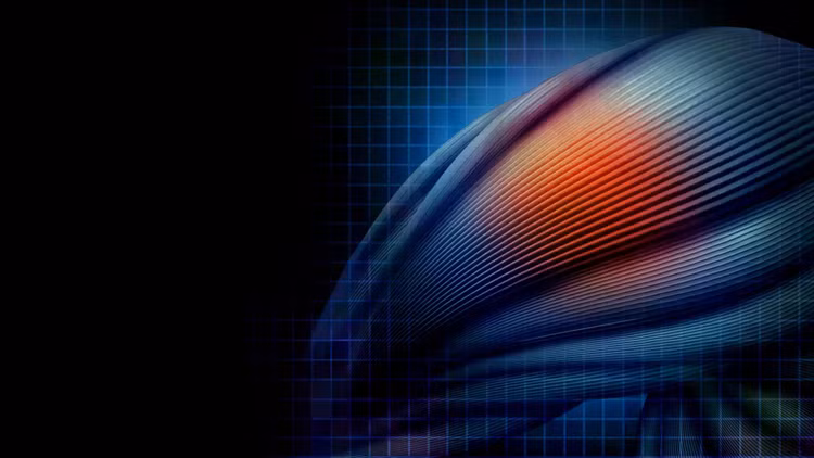 human-muscle-fibers-pain-healing.jpg