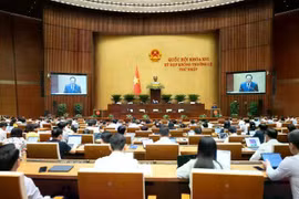 Hôm nay, Quốc hội thảo luận về xử lý vi phạm trong lĩnh vực kinh tế