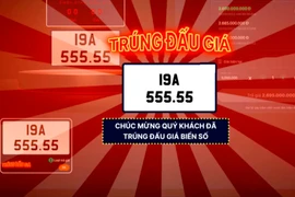 Hơn 140 nghìn biển số xe đấu giá thành công năm 2025, thu hơn 5.155 tỷ đồng