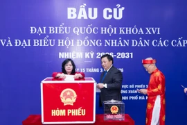 Lãnh đạo MTTQ Việt Nam bỏ phiếu bầu cử tại cơ sở địa phương