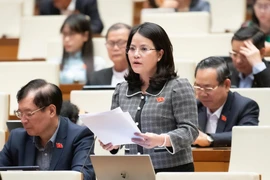  Khi xây sân bay Gia Bình, cần giữ tính lịch sử vốn có của di tích