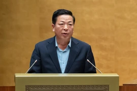 Đề xuất duyệt báo cáo khả thi giai đoạn 2 sân bay Long Thành