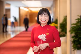 Đề xuất cấm trưng bày thuốc lá: Cần lộ trình phù hợp