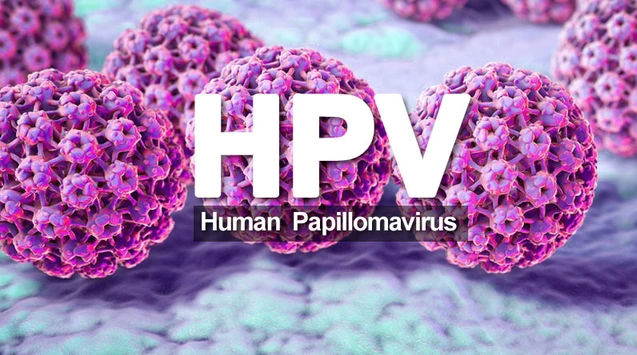 Virus HPV có thể gây ung thư dương vật ở nam giới.