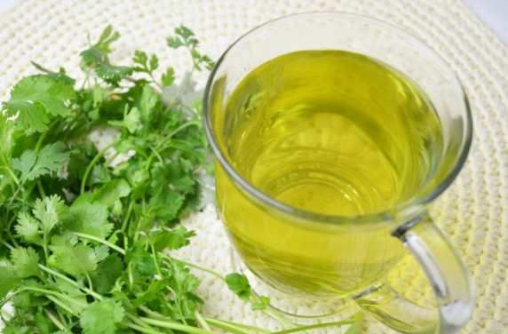 Nước lá rau mùi có nhiều lợi ích với sức khỏe.