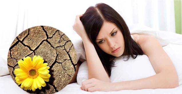 Âm đạo khô khiến cho người phụ nữ cảm thấy khó chịu, thiếu tự tin, mỗi lần quan hệ gây ra cảm giác khô rát, không thoải mái cho cả hai và điều này diễn ra lâu sẽ khiến chuyện vợ chồng gặp rắc rối…. Ảnh minh họa