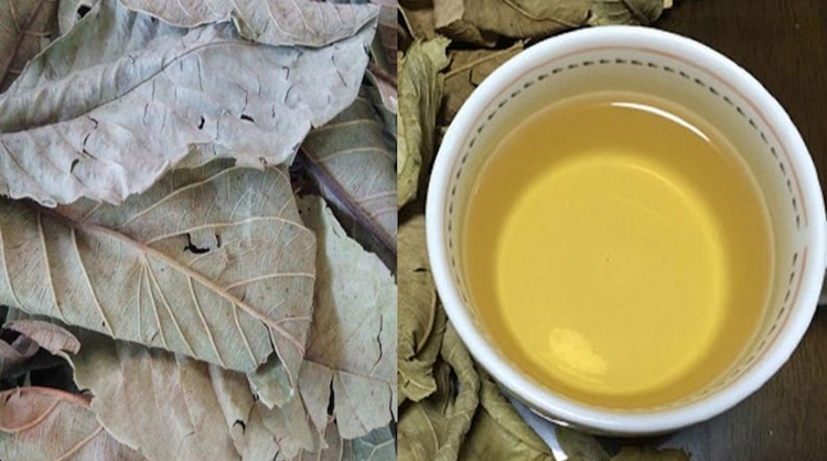 Trà lá ổi là một thức uống được nhiều người ưa thích. Trà lá ổi là một thức uống được nhiều người ưa thích.