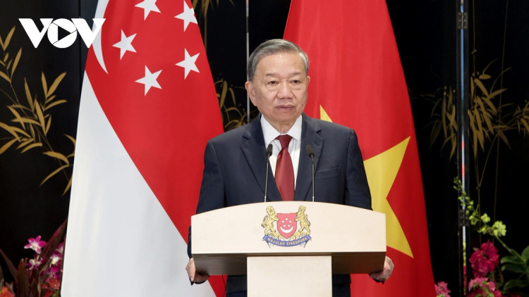 Việt Nam - Singapore nâng cấp quan hệ lên Đối tác chiến lược toàn diện - Hình 2 Viet Nam - Singapore nang cap quan he len Doi tac chien luoc toan dien-Hinh-2