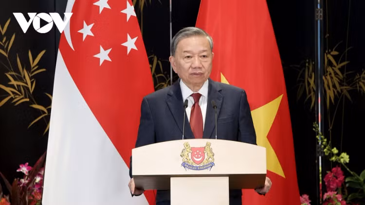 Viet Nam - Singapore nang cap quan he len Doi tac chien luoc toan dien-Hinh-2