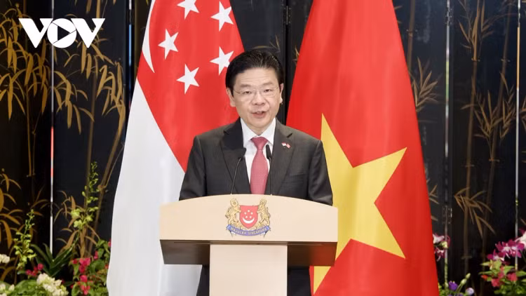 Viet Nam - Singapore nang cap quan he len Doi tac chien luoc toan dien-Hinh-3