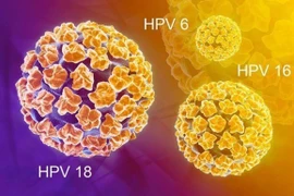 Vắc xin HPV - chìa khóa ngừa ung thư cổ tử cung hiệu quả