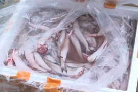 Ăn phải cá khoai tẩm Formol nguy hại sức khỏe thế nào?