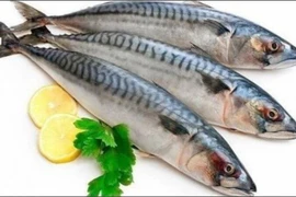 Khám phá lợi ích của cá thu đối với sức khỏe 
