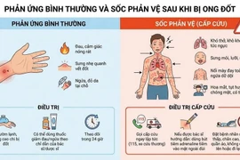 Cưu sống bệnh nhân ở Tuyên Quang sốc phản vệ do bị ong đốt 