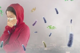 Hà Nội khuyến cáo người dân nâng cao ý thức bảo vệ môi trường sống