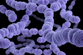 Những bệnh truyền nhiễm nhóm B đã có vắc xin phòng bệnh