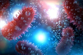 Bị chó cắn không tiêm phòng dại, một trường hợp tử vong tại Lào Cai