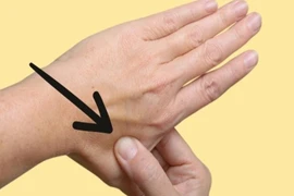 Tết di chuyển nhiều, làm cách nào để tránh say tàu xe?