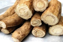 Cách xử lý ngộ độc thực phẩm tại nhà bằng thảo dược, nguyên liệu tự nhiên